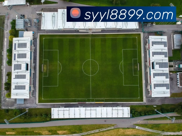 多媒体互动体验